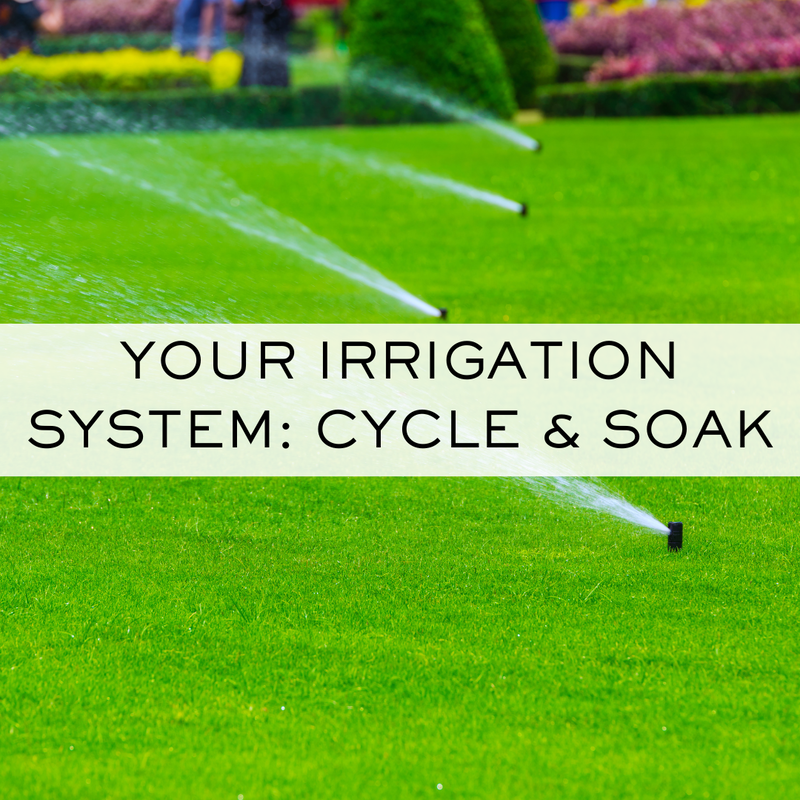 Your Irrigation System: Cycle and Soak