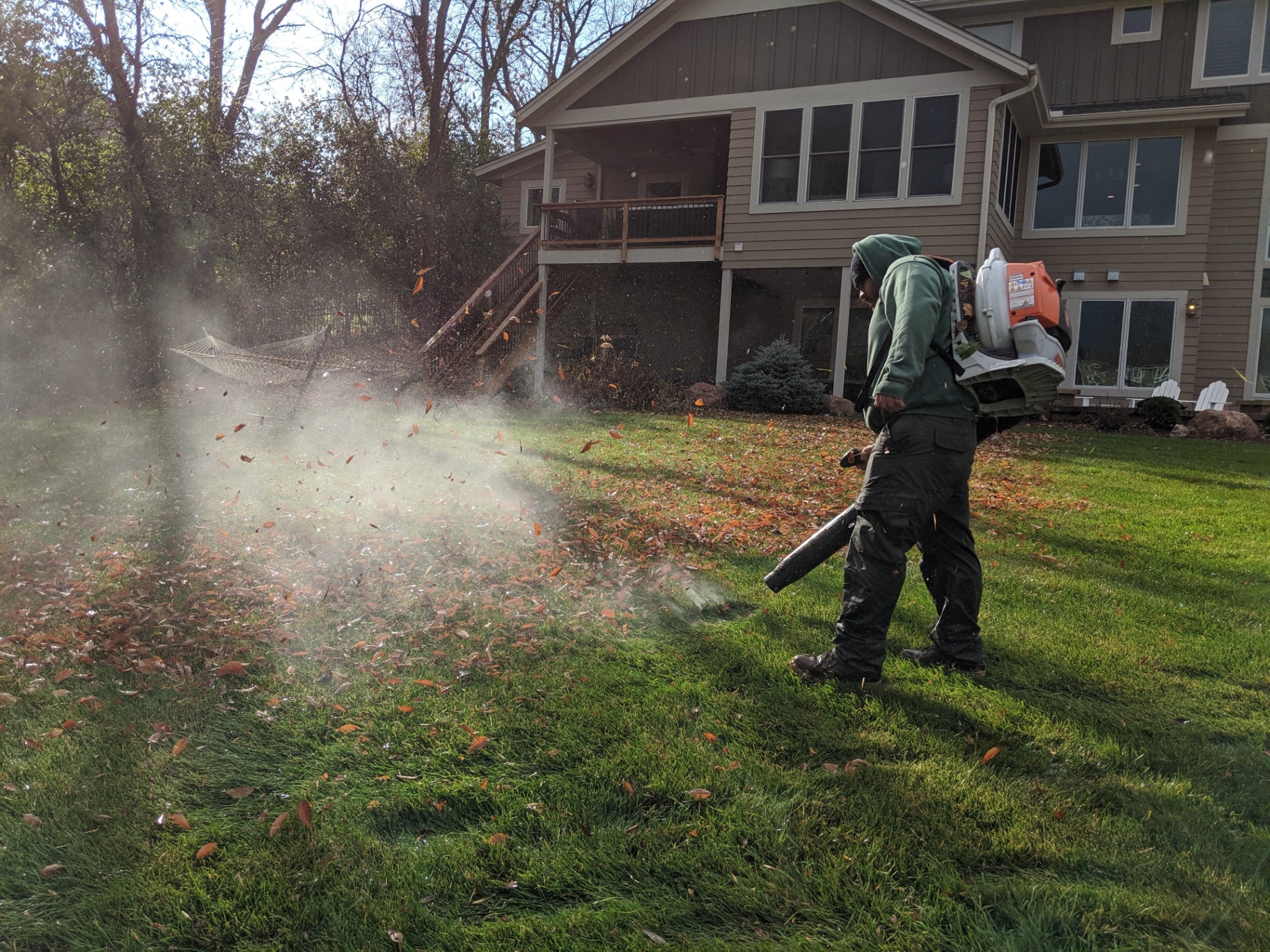 Fall leaf cleanup in Plymouth