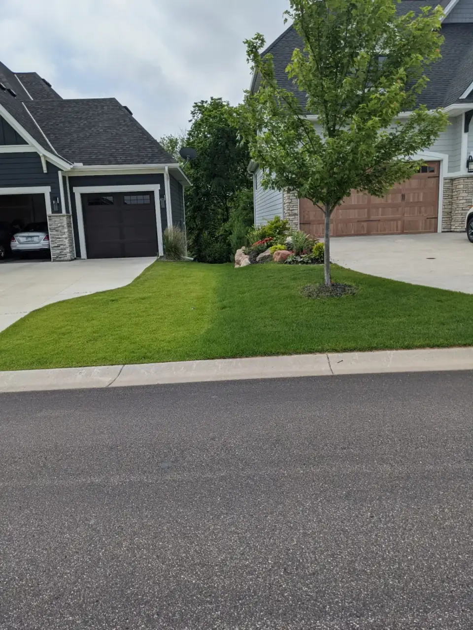 Fertilization results in Maple Grove