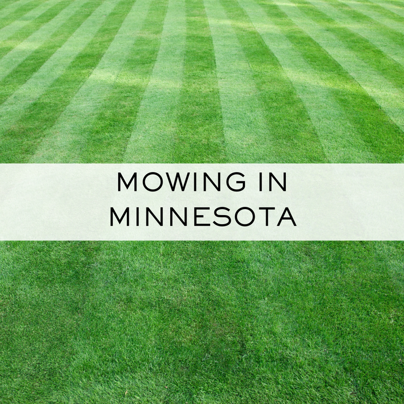 Mowing in West Metro, Minnesota. Guidelines for healthy, lush lawn.