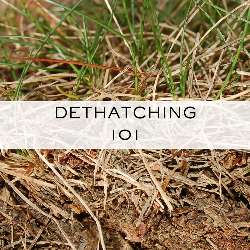 Dethatching 101. The primary goal is to facilitate the passage of nutrients, air, and water to reach the soil.