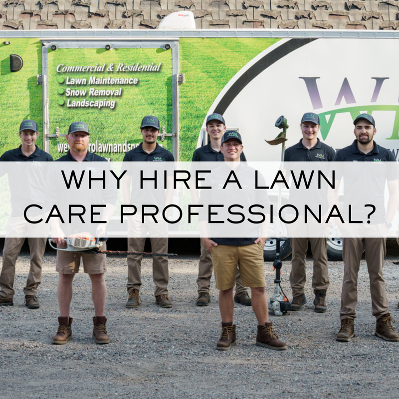 Why Hire a Lawn Care Professional? Here are reasons why.