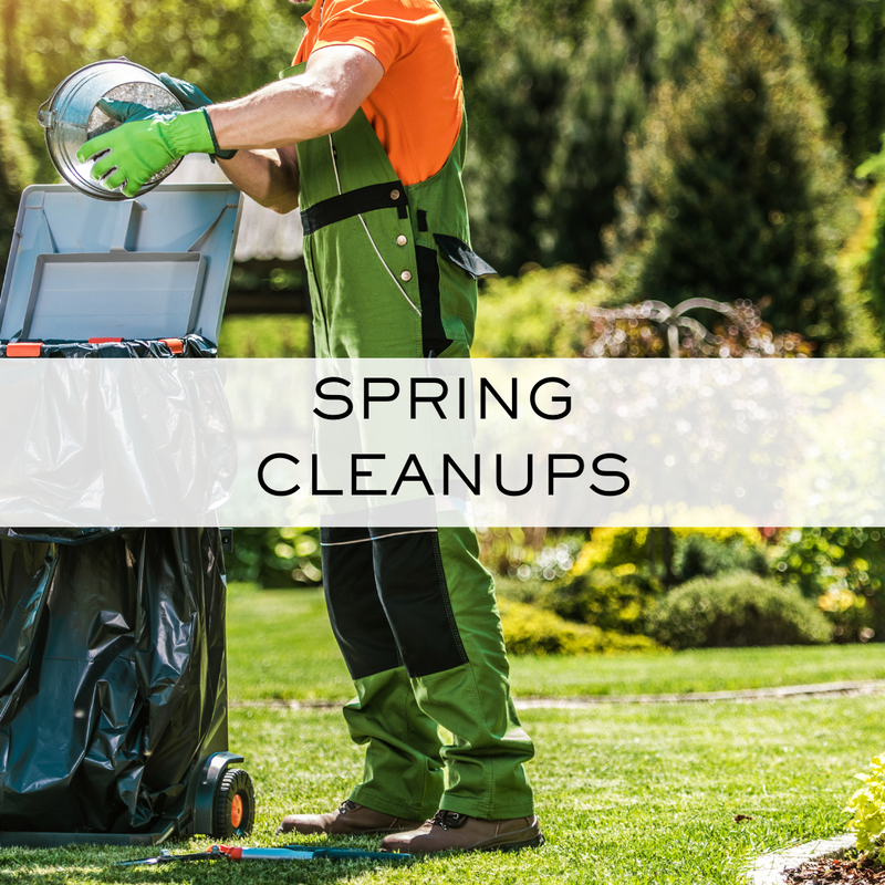 Spring Cleanups. Why important in West Metro, Minnesota.