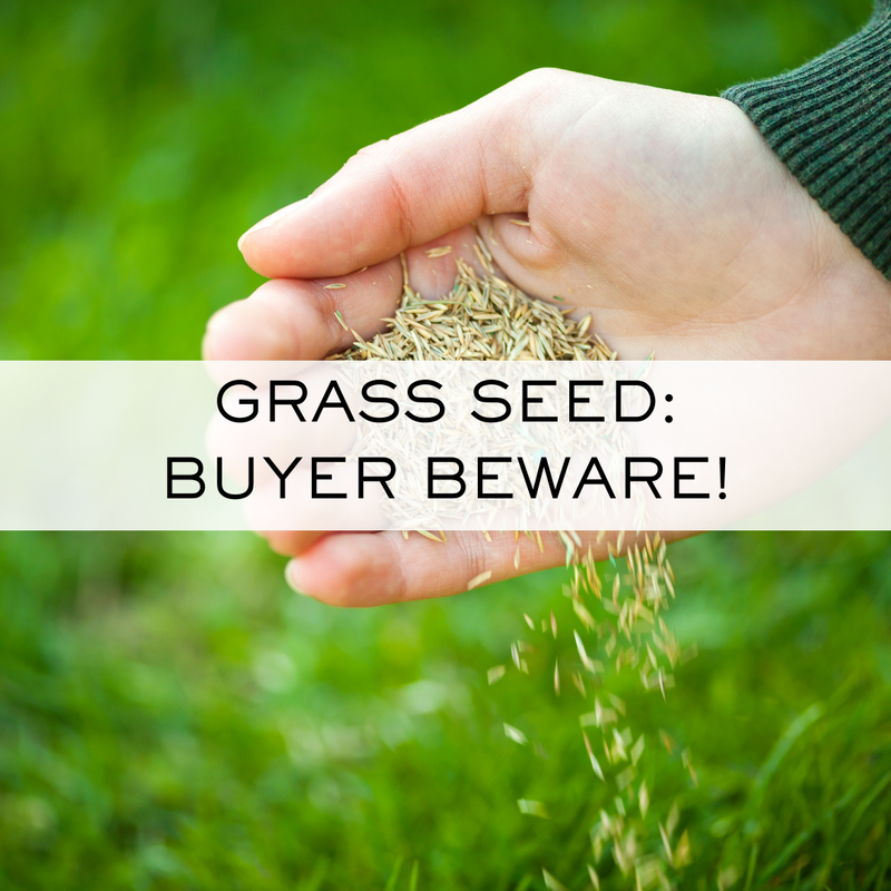 Grass seed: buyer beware. Not all grass seed is created equal.