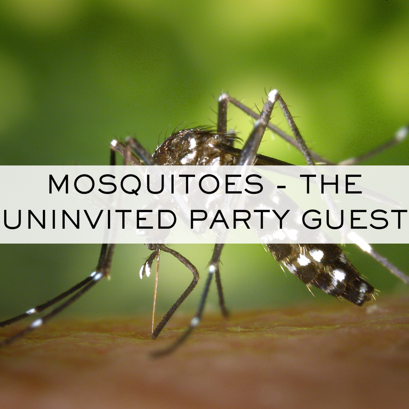 Mosquitoes - the Uninvited Party Guest. Facts about mosquitoes. Mosquito Control Package.